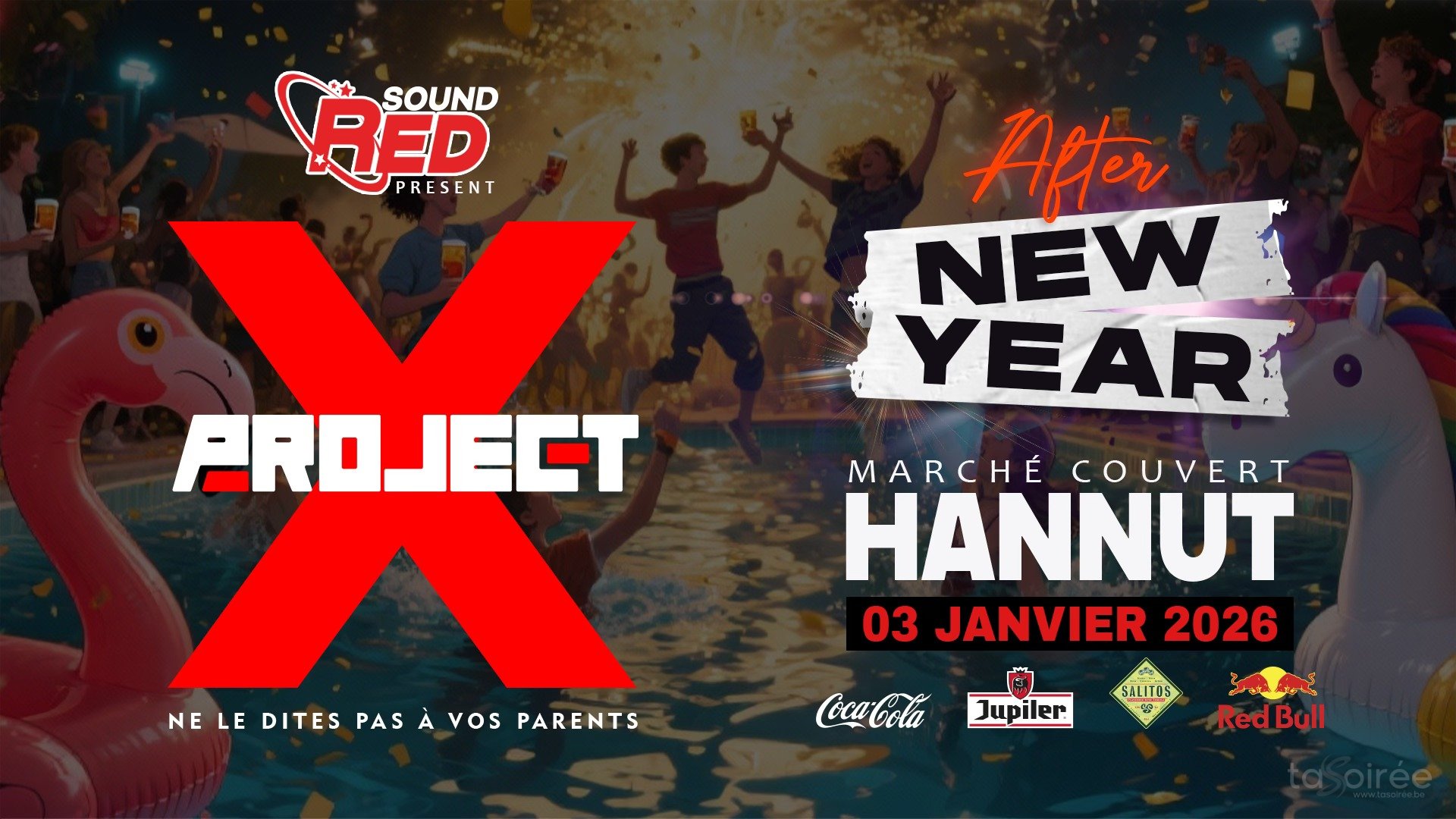 Affiche de l'événement Project X